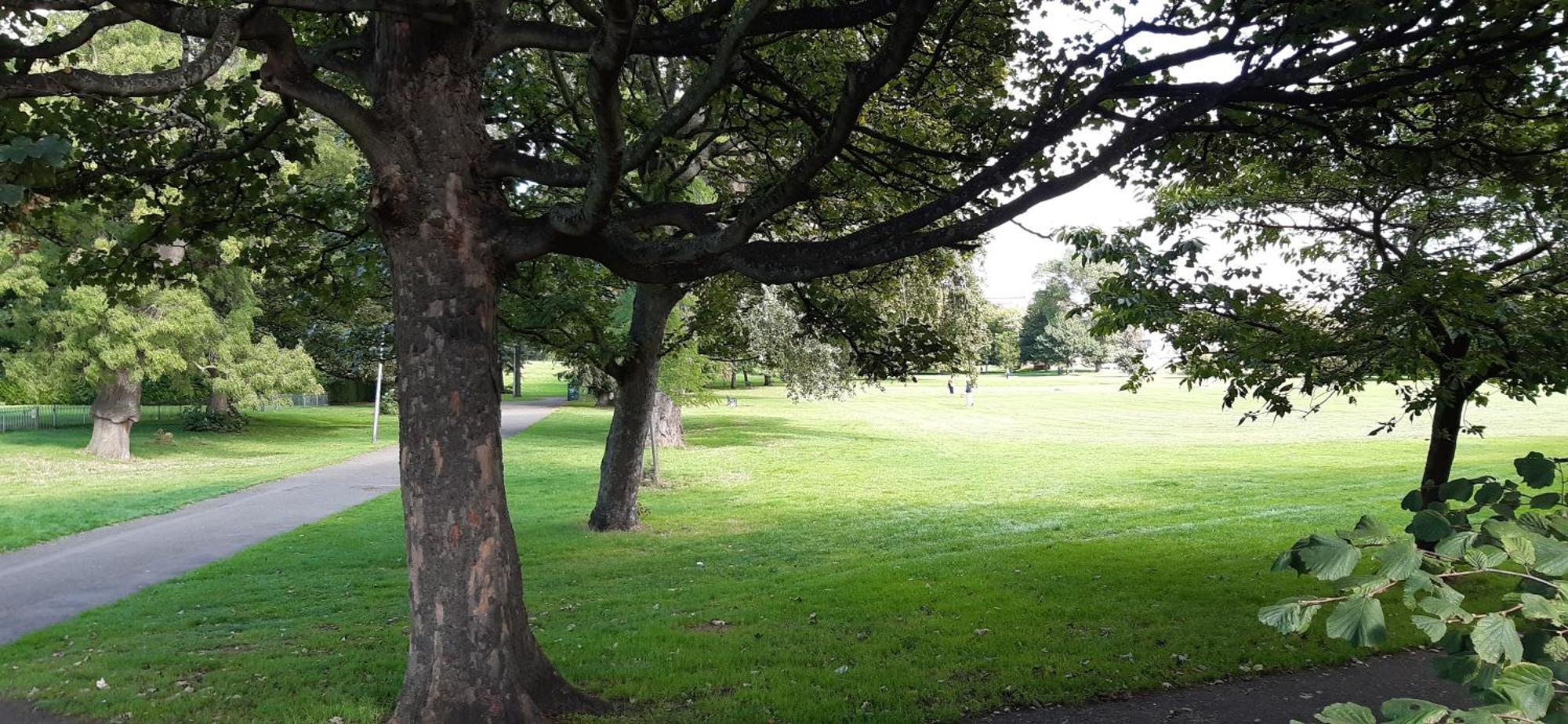 Dryden Gardens Lejlighed Edinburgh Eksteriør billede